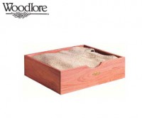 ��ǰ�̹���